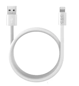 Cable de carga iPhone [certificado MFI] 1M USB iPhone 14 13 12 11 X súper rápido - Imagen 1 de 8