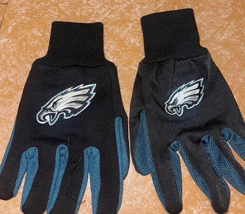 Philadelphia Eagles Gloves Cover