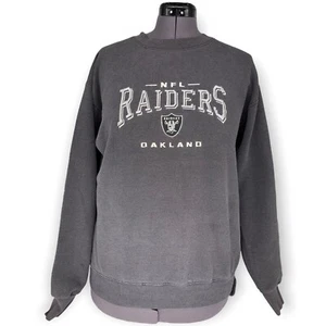 Vintage 90s NFL Oakland Raiders Pullover Lee Sports Sweatshirt Size Medium - Picture 1 of 10