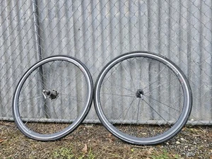 CAMPAGNOLO RIMS 26" MADE IN ITALY - Picture 1 of 11