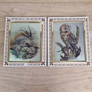 Impresiones en papel aluminio metálico vintage búho, erizos Aubrey North & F.A. Betteridge Retro - Imagen 1 de 24