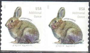 SC#5545 - 2021 20c Brush Rabbit Additional Ounce Coil Pair MNH - Picture 1 of 1