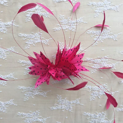 80 Colours Stripped Coque Feather Goose Twisted Mount Millinery Hats Fascinator - Image 1 of 4