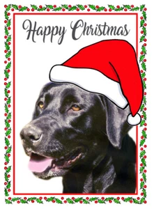 TARJETA DE NAVIDAD BRILLANTE CALIDAD SOMBRERO SANTA PERRO RETRIEVER NEGRO 8"x 6" PUBLICACIÓN GRATUITA - Imagen 1 de 2