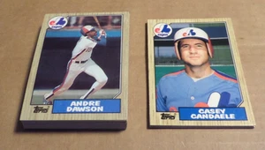 Montreal Expos Andre Dawson 1987 Topps Team Set With Traded 33 Cards - Picture 1 of 1
