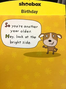 Fun Birthday Card for FRIEND "So You are another Year Older" Shoebox brand SB16 - Picture 1 of 2