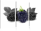 Large Blackberries Black/White 3-Teiler Canvas Picture Wall Deco Art Print