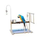Parrot Playstand Portable Desktop Bird Stand For Macaw Cockatiel Lovebirds