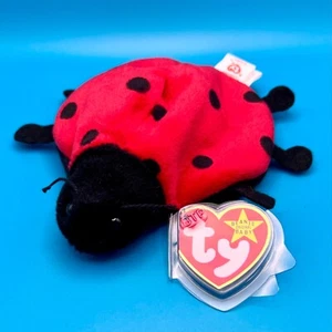 TY Beanie Baby - LUCKY the Ladybug (5 inch) - Picture 1 of 1