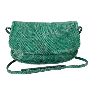 BOTTEGA VENETA Green Embossed Snake Leather Crossbody Bag - Picture 1 of 17