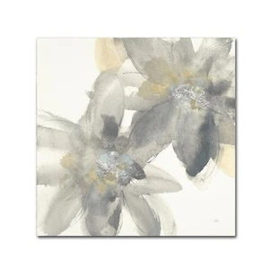 Trademark Fine Art Chris Paschke 'Gray and Silver Flowers II' - Picture 1 of 6