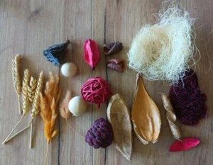 Dekoration Deko Natur Blüten Ähren Samen Schalen Früchte Basteln - Bild 1 von 2