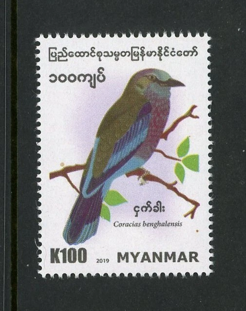 Mianmar/Birmânia 2019 pássaros Coracias Benghalensis 1v MNH vida selvagem  - Imagem 1 de 1