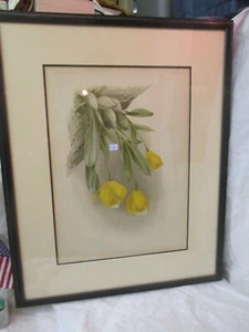 Antique Lithograph Chromolitho Orchid Reichenbachia Cattleya Citrina H.G. Moon - Picture 1 of 13