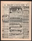 Vintage April 1927 Varied Baby Chick Advertising Page Sieb's, Farrow, Carter's+ 
