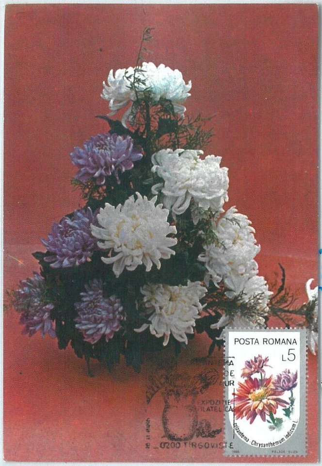 68882 - RUMANÍA - TARJETA MÁXIMA 1984 - FLORES Foto 1 de 1