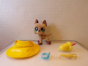 Littlest Pet Shop~#636~Gran Danés~.Perro~Marrón Difuso~Ojos Diamantes Azules~Accesorios - Imagen 1 de 6