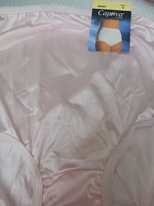 Vintag Sears Captiva  Nylon Hi Waist  Panties Briefs, Size 6 - Picture 1 of 5