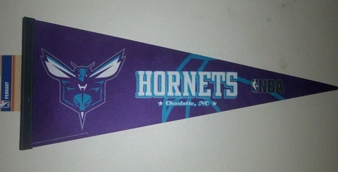 WinCraft NBA Charlotte Hornets Carded Classic Felt Pennant, 12" x 30 Cover