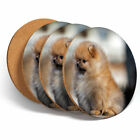 4 Set - Fluffy Pomeranian Puppy Dog Coasters - Kitchen Drinks Coaster Gift #2692