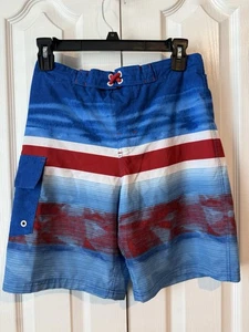 Wonder Nation Boys Swim Trunks – Size L (10-12) Husky - Picture 1 of 3