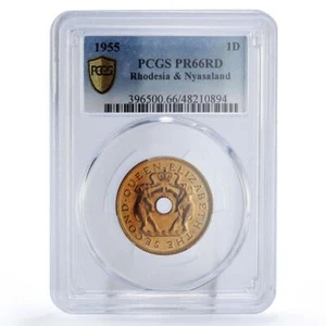 Rhodesia Nyasaland 1 penny Regular Coinage Elephants PR66 PCGS bronze coin 1955 - Picture 1 of 3