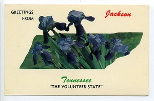 Saludos desde Jackson TN Tennessee (Madison Co) contorno floral del estado - Imagen 1 de 2