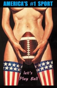 Lets Play Ball Americas #1 Sport Estampado en lona grande imán nevera 6x9 grande - Imagen 1 de 2