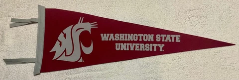 Washington State Cougars  Vintage NCAA Wool Pennant Cover