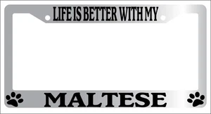 Chrome METAL License Plate Frame LIFE IS BETTER WITH MY MALTESE Auto 462 - Picture 1 of 1