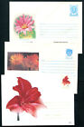 Flowers D69 Amarillis ? Cactus 3 Covers Postal Stationery Bulgaria Romania Russi
