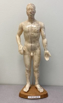 Modelo de acupuntura punto de acupuntura humano silicona marca inglesa 20" de colección china años 90 Foto 1 de 4