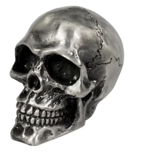 Estatua ornamental calavera agrietada para guardabarros o mascota con capó - plata antigua - Imagen 1 de 8