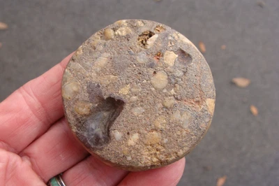 Punta de flecha súper rara CONGLOMERANT DISCOIDAL Georgia Florida ~5~ Foto 1 de 4