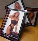 VINTAGE TRADING CARD CALIFORNIA DREAMING 1991 HOT, NAUGHTY & SEXY WENDY SET