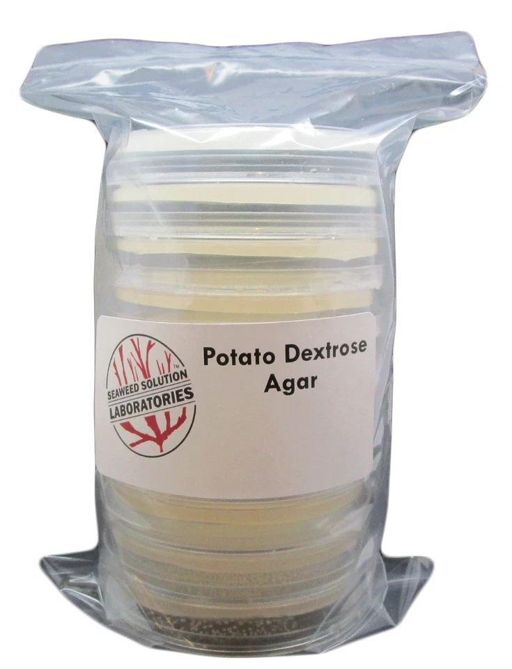 SEAWEED SOLUTION LABORATORIES Sterilized Potato Dextrose Agar (PDA) 10, 100mm x 15mm Plates