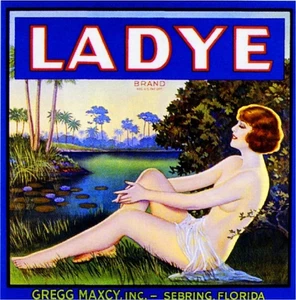 f08 Sebring Florida Ladye Orange Citrus Fruit Crate Label Fridge Magnet - Picture 1 of 1