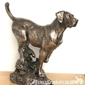 Labrador ornament figurine by David Geenty large solid heavy Cold Cast Bronze - Picture 1 of 6