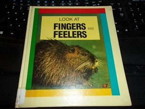 Look and Fingers and Feelers von Henry Pluckrose Hardcover - Bild 1 von 9