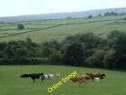 Photo 6x4 Grazing farmland below the moors Langsett A view from the path  c2013