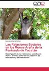 Las Relaciones Sociales En Los Monos Arana De La Peninsula De Yucatan         <|