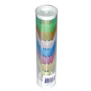 Plastic Shuttlecocks in A Tube Lightweight Indoor and Outdoor Activities 6Pieces - Foto 1 di 1