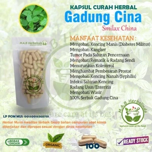 GADUNG CINA Capsules Natural Organic Herbs Spices Fresh Pure Hygienic Premium - Picture 1 of 9