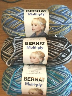 Bernat Multi-Ply - Colors: Cornflower, Storm Cloud, & Seaport  - 3 New Skeins - Image 1 of 4