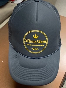 Silver Stem Fine Cannabis Vintage Cap Mütze SNAP BACK grau - Bild 1 von 5
