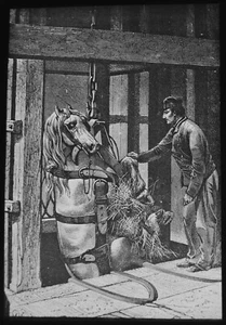 KOHLENBERGBAU: EIN PFERD GEHT EINEN SCHACHT HINUNTER UM 1875 VIKTORIANISCHE magische Laternenrutsche - Bild 1 von 5