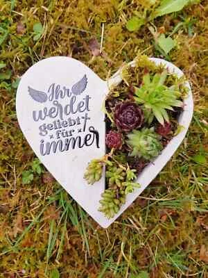 Bepflanztes Herz aus Beton mit Schriftzug Grabschmuck Trauer Grabgesteck - Bild 1 von 2