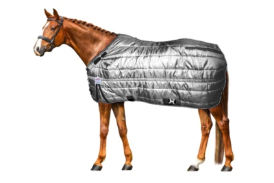  Manta de invierno Derby Nordic Tough West Coast 420D reflectante caballo estable 200 g  Foto 1 de 4