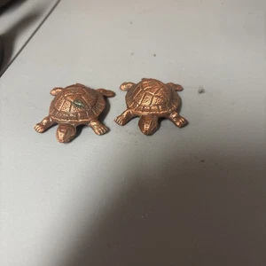 Brass Anatomically Correct Turtles- Male And Female - Picture 1 of 2