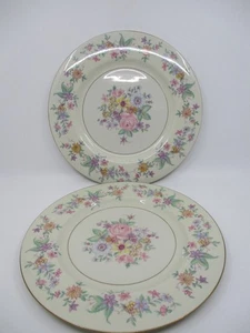 HAVILAND PRIMAVERA - 2 PLATOS - 10 3/4" 0905J - Imagen 1 de 2